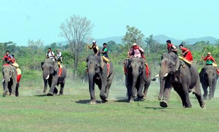 Elephant racing in Central Highlands